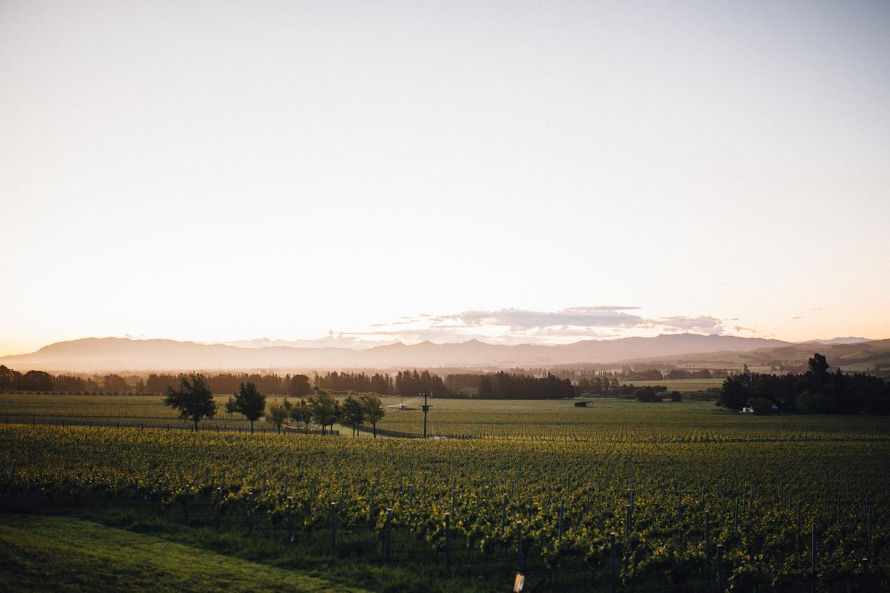 Black Estate B & B Waipara Экстерьер фото